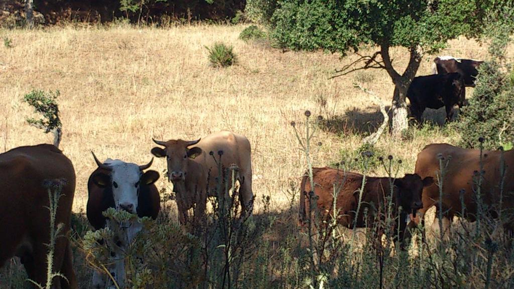 Riserva Del Noce Caltagirone Zewnętrze zdjęcie
